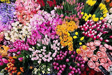 《街头霸王6》官方世界大赛开幕 奖金总额100万美元