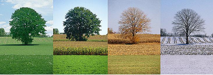 《极地觉醒》9月18日多平台发售 雪山极限生存
