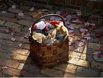 育碧公布《舞力全开2024》完整歌曲列表